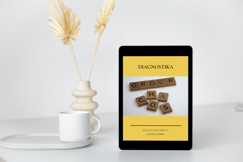 Diagnostika ebook